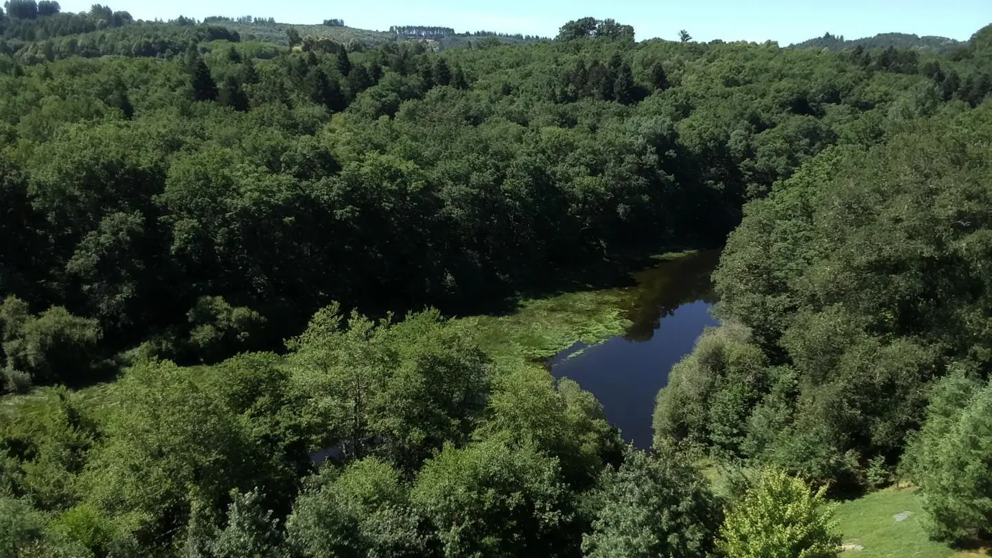 Gite Bosrigaud à Peyrat Le Château en Haute-Vienne (Limousin en Nouvelle Aquitaine)_21