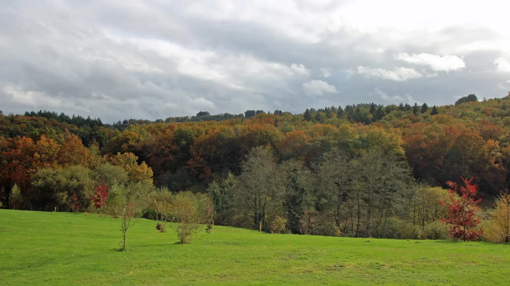 Gite Bosrigaud à Peyrat Le Château en Haute-Vienne (Limousin en Nouvelle Aquitaine)_20