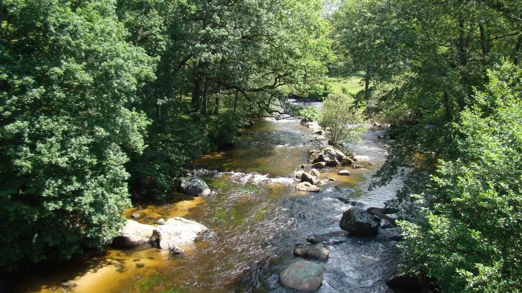 Gite Villeneuve à Rempnat en Haute-Vienne (Limousin en Nouvelle Aquitaine). La Vienne au pont de La Villeneuve._2