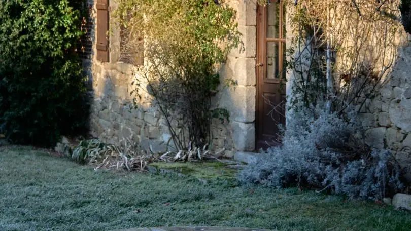 Le Gîte, Le Vieux Domaine, avec givre et soleil d'hivers au Masbareau à Royères Haute-Vienne,Limousin, Nouvelle aquitaine _34