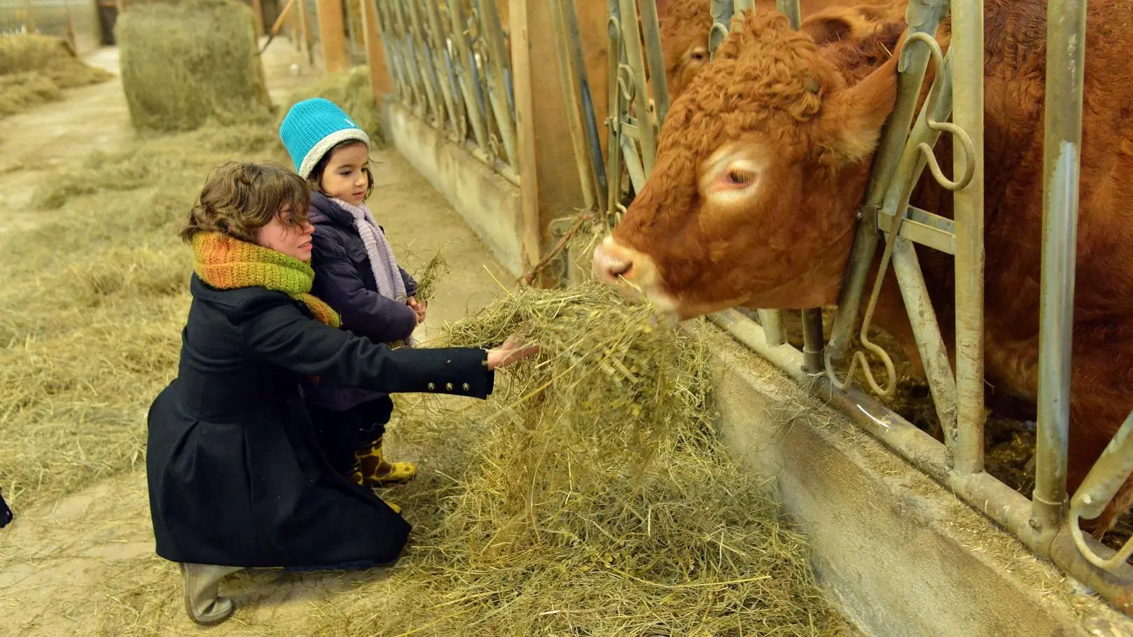 Visite Ferme Bio proche du Gîte du  Masbareau Royères Haute-Vienne Limousin Nouvelle Aquitaine_28