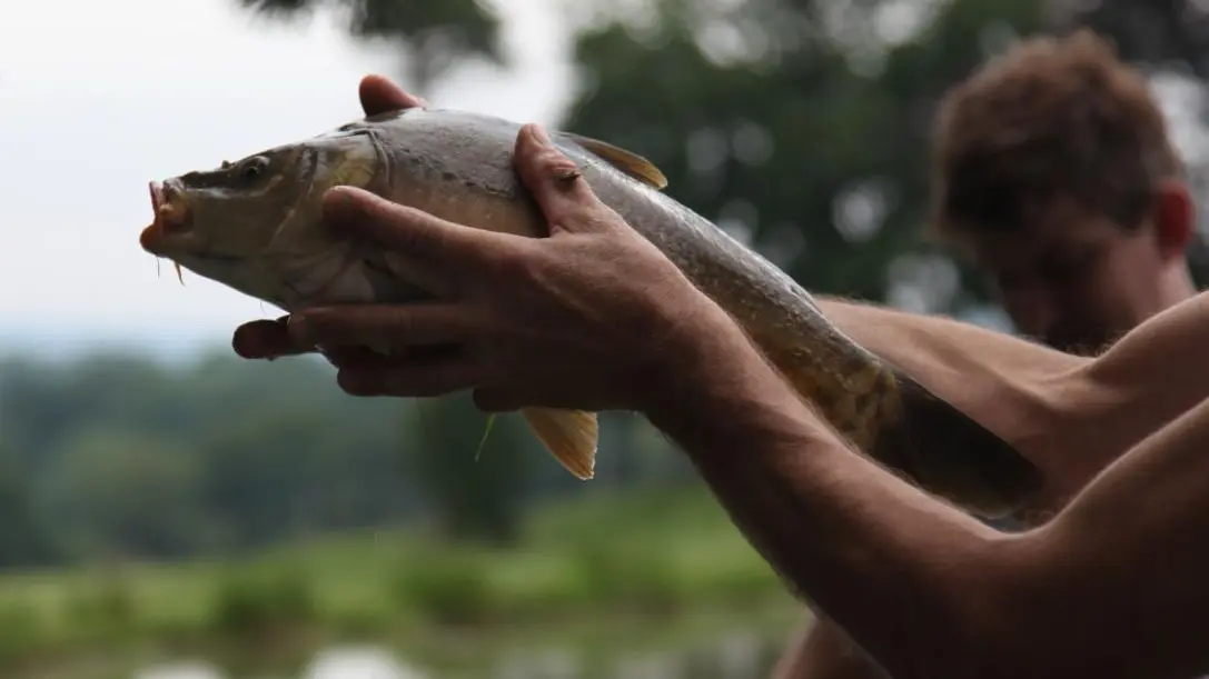 Gîte de Pêche au Masbareau Royères Haute-Vienne Lmousin Nouvelle Aquitaine_27