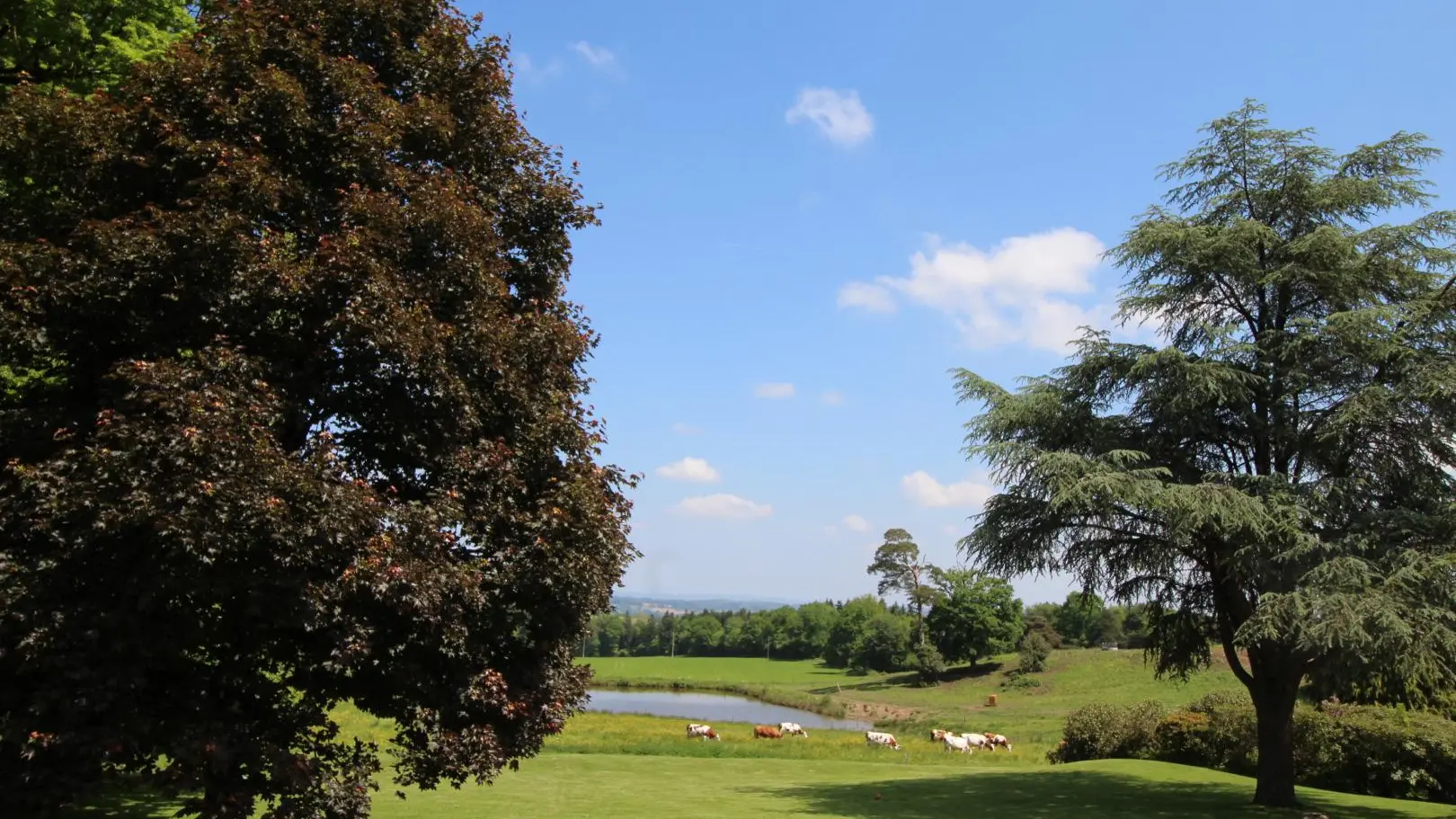 Gite Le Masbareau à Royeres en Haute-Vienne (Limousin)_33