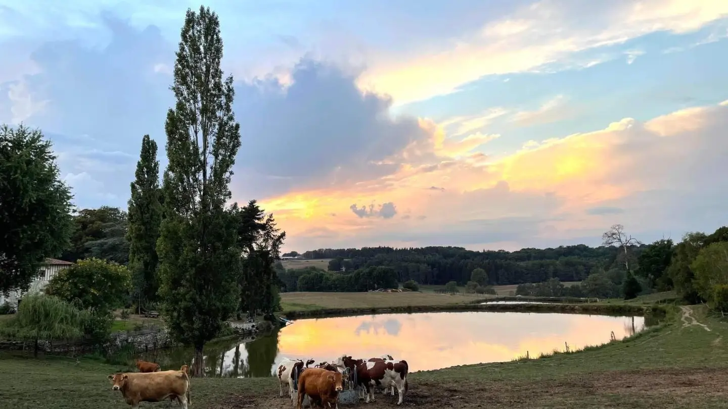 Vue fenêtre du Gîte Le Masbareau Royères Haute-Vienne Nouvelle Aquitaine_2