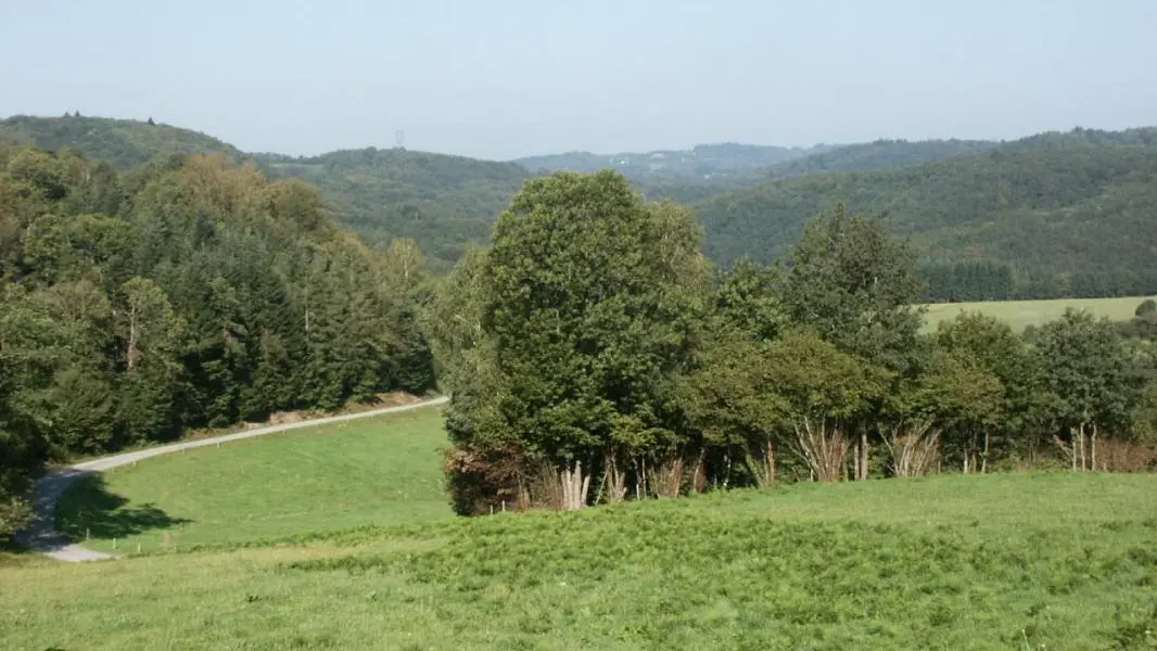 Gite Samis à Saint Julien Le Petit  en Haute-Vienne (Limousin en Nouvelle Aquitaine)_2