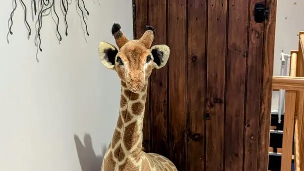 Gite de La Forge à Saint Julien Le Petit en Haute-Vienne - Limousin - Nouvelle Aquitaine_7