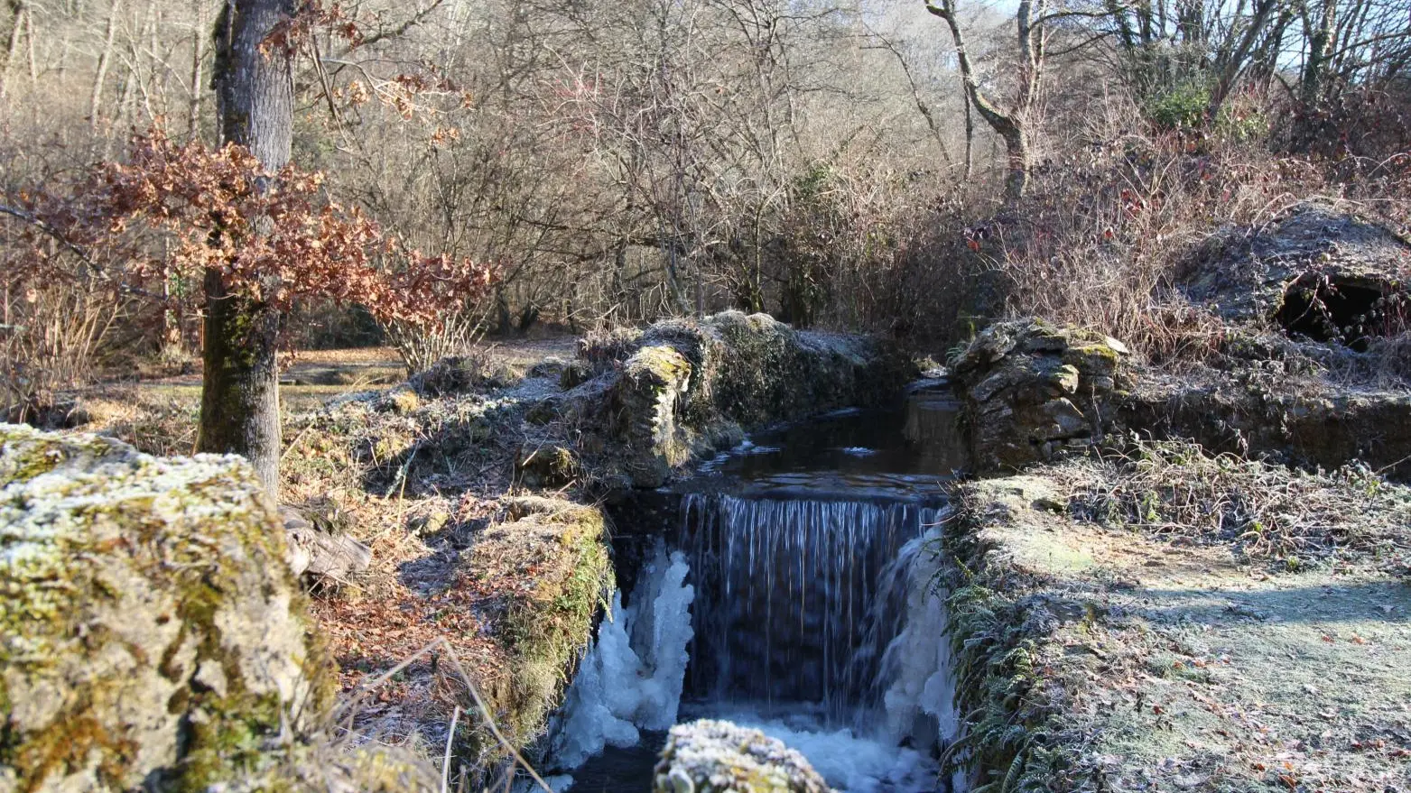 Le gîte de la rapiette à Saint Léonard de Noblat en Haute-Vienne (Limousin)_19