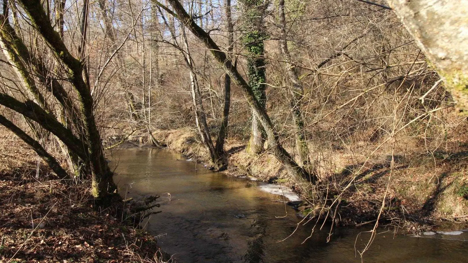 Le gîte de la rapiette à Saint Léonard de Noblat en Haute-Vienne (Limousin)_18