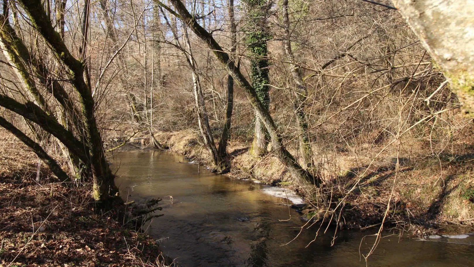 Le gîte de la rapiette à Saint Léonard de Noblat en Haute-Vienne (Limousin)_18