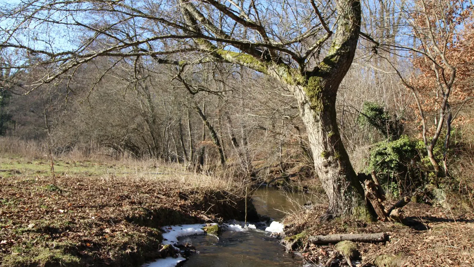 Le gîte de la rapiette à Saint Léonard de Noblat en Haute-Vienne (Limousin)_21