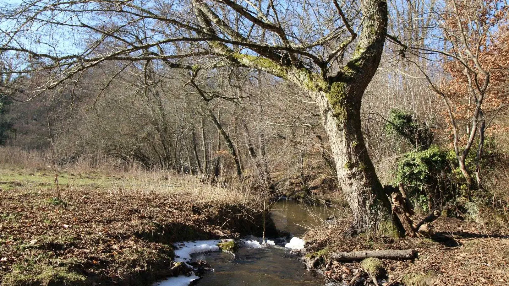 Le gîte de la rapiette à Saint Léonard de Noblat en Haute-Vienne (Limousin)_21