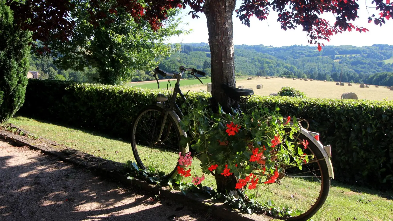 Gite Villa Bel Air à Saint Léonard De Noblat  en Haute-Vienne (Limousin en Nouvelle Aquitaine)_24