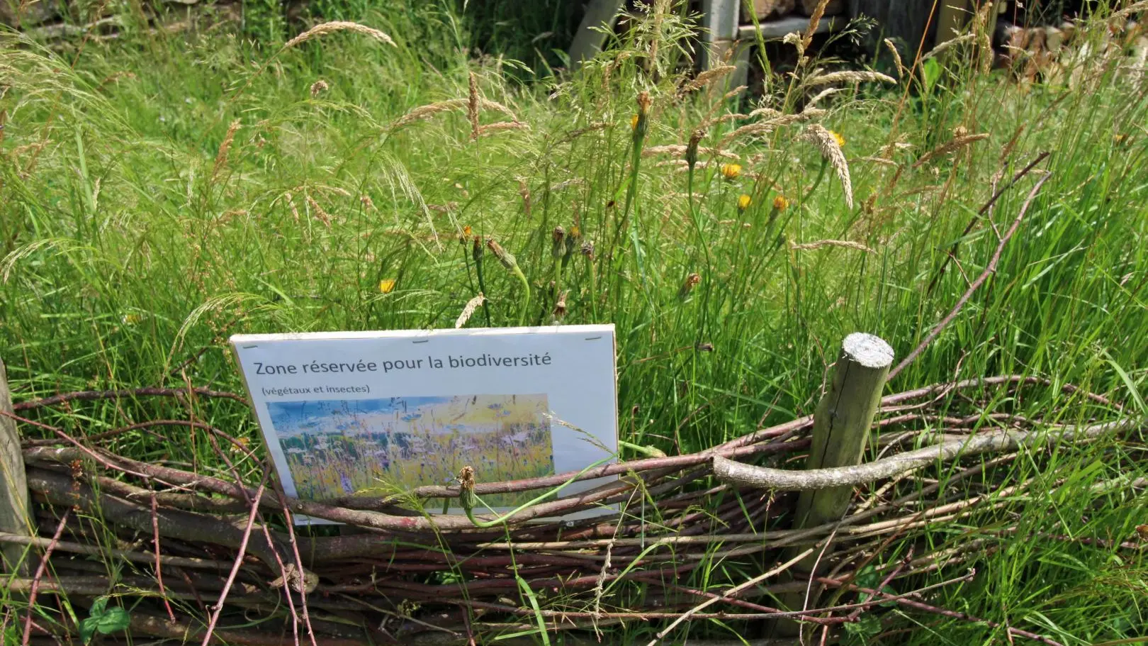 Le gîte du déserteur à Saint Martin Terressus en Haute-Vienne (Nouvelle Aquitaine)_46