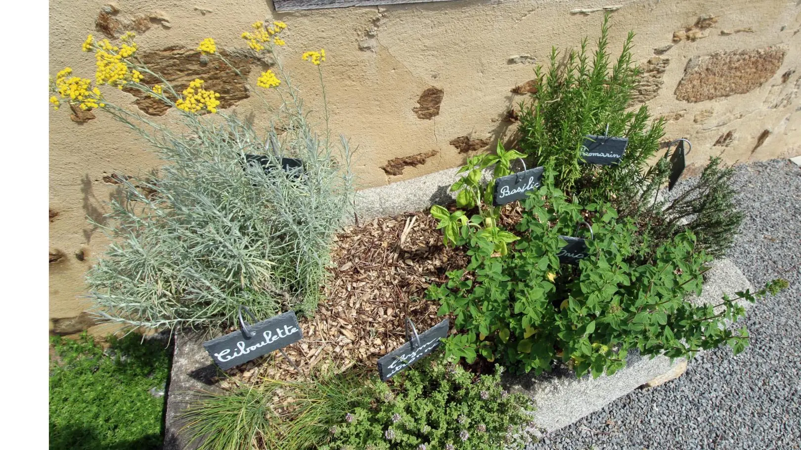 Le gîte du déserteur à Saint Martin Terressus en Haute-Vienne (Nouvelle Aquitaine)_45