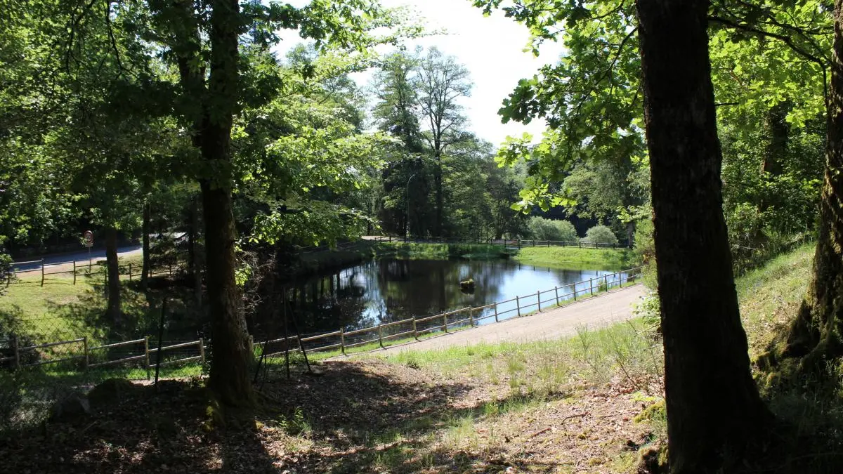 Beaumont Du Lac  en Haute-Vienne (Limousin en Nouvelle Aquitaine) - étang en contrebas_3