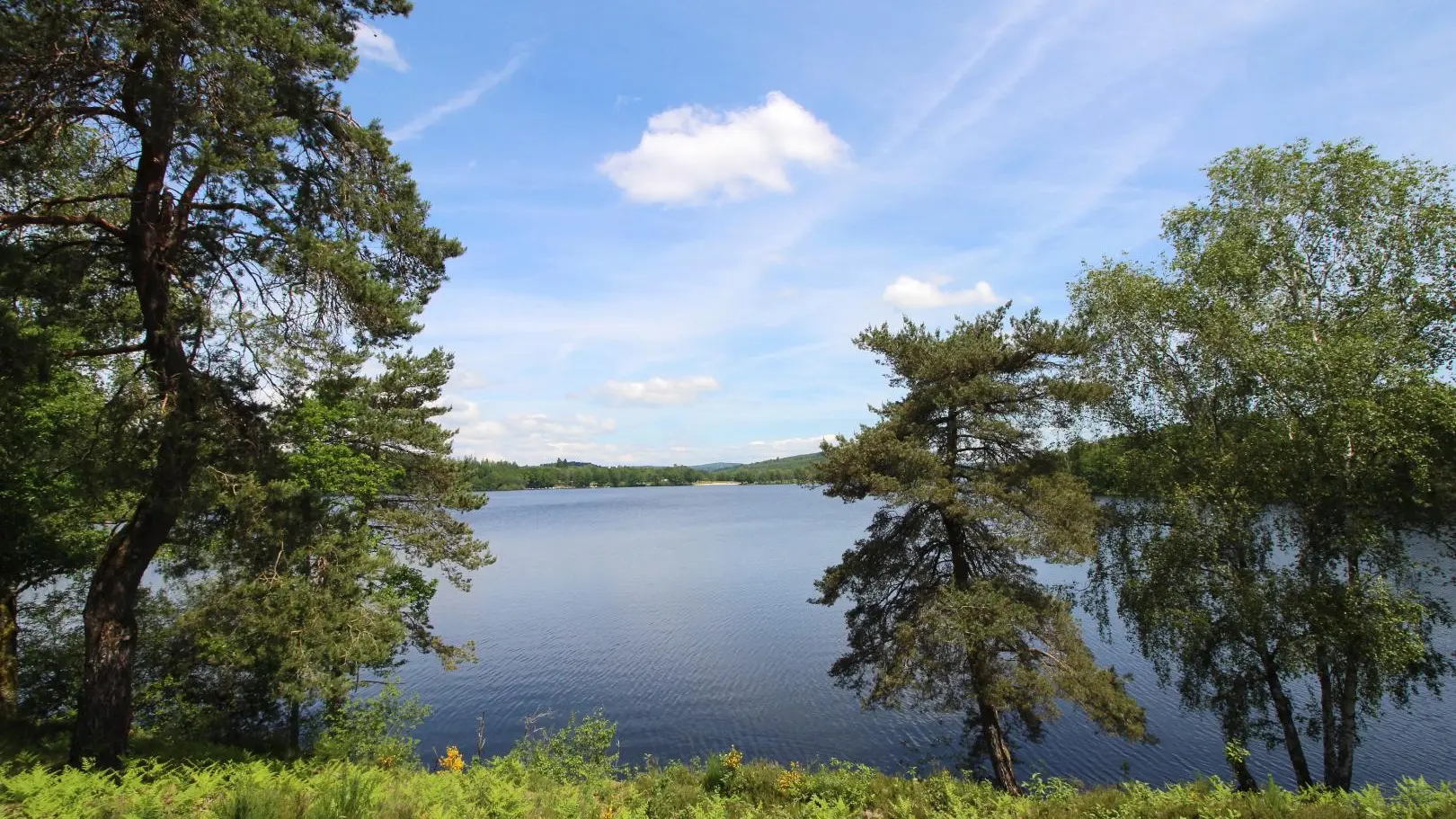 Gite Le Bourg à Beaumont Du Lac  en Haute-Vienne (Limousin en Nouvelle Aquitaine). Le lac de Vassivière._9