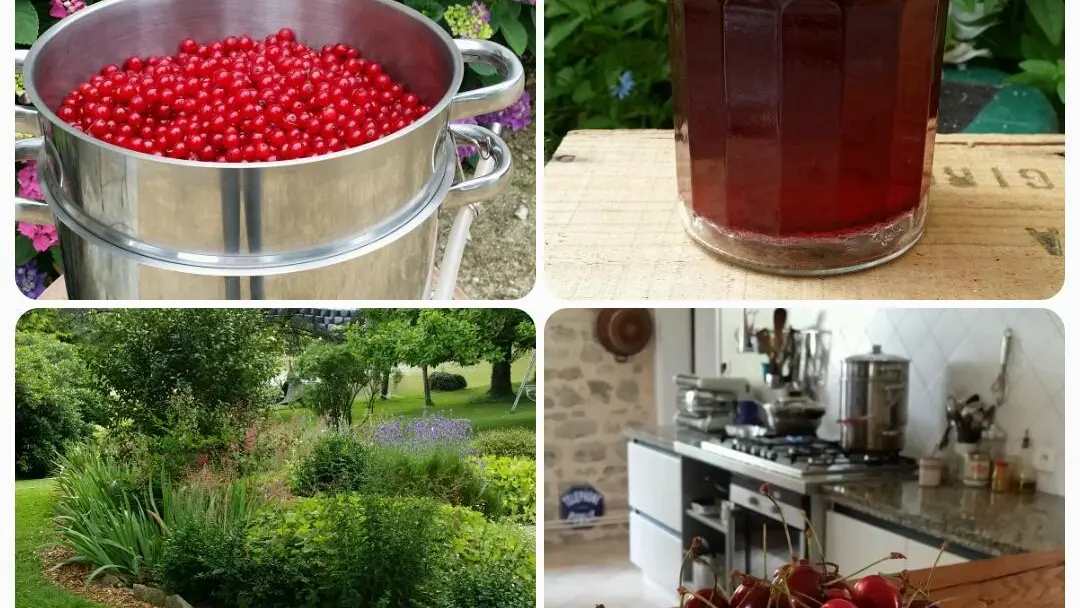 Confitures maison pour les petits déjeuners des Chambres d'Hôtes du Masbareau à Royères Haute-Vienne en Limousin Nouvelle Aquitaine_35