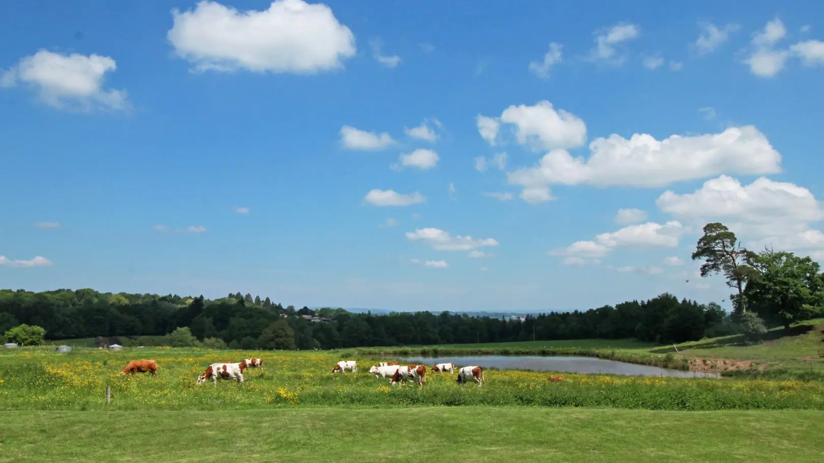 Chambres et Table d'Hôtes de Charme Le Masbareau à Royères en Haute-Vienne Limousin Nouvelle Aquitaine_40
