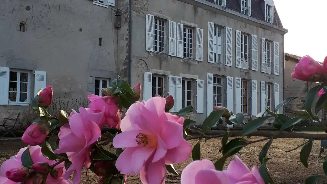 Vive le Printemps au Masbareau, Chambres et Table d'Hôtes de Charme à Royères Haute-Vienne Limousin Nouvelle Aquitaine_42
