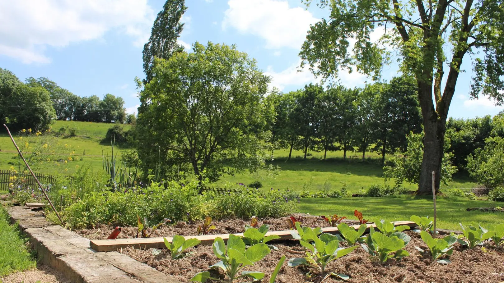 Le potager pour la table d'Hôtes des  Chambres d'hôtes de Charme Le Masbareau à Royères en Haute-Vienne limousin (Nouvelle Aquitaine)_37