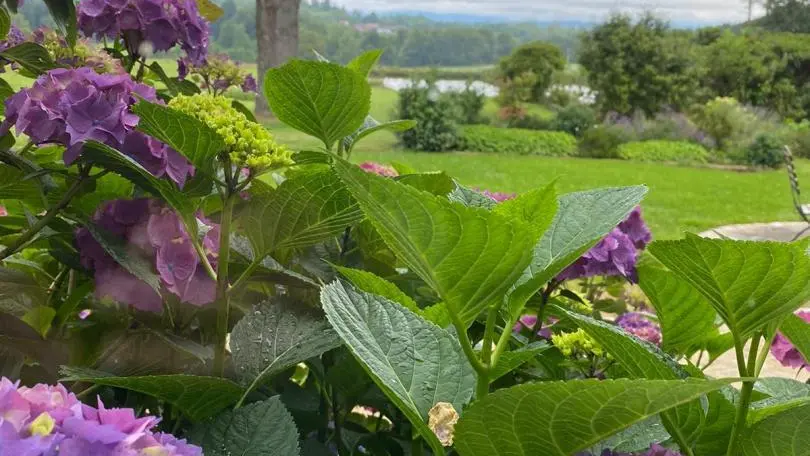 Le Masbareau, Chambres et Table d'Hôtes de Charme Royères Haute-Vienne Limousin Nouvelle Aquitaine_42