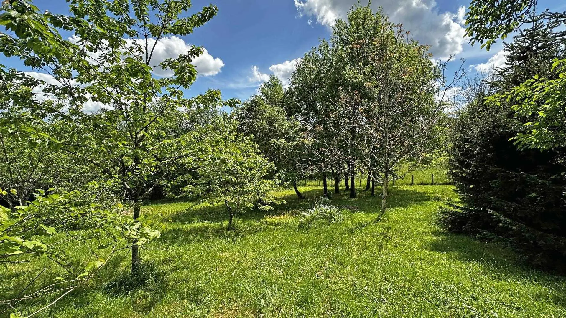 Gîte La Petite Maison à Château-Chervix en Haute-Vienne (Nouvelle Aquitaine)_25