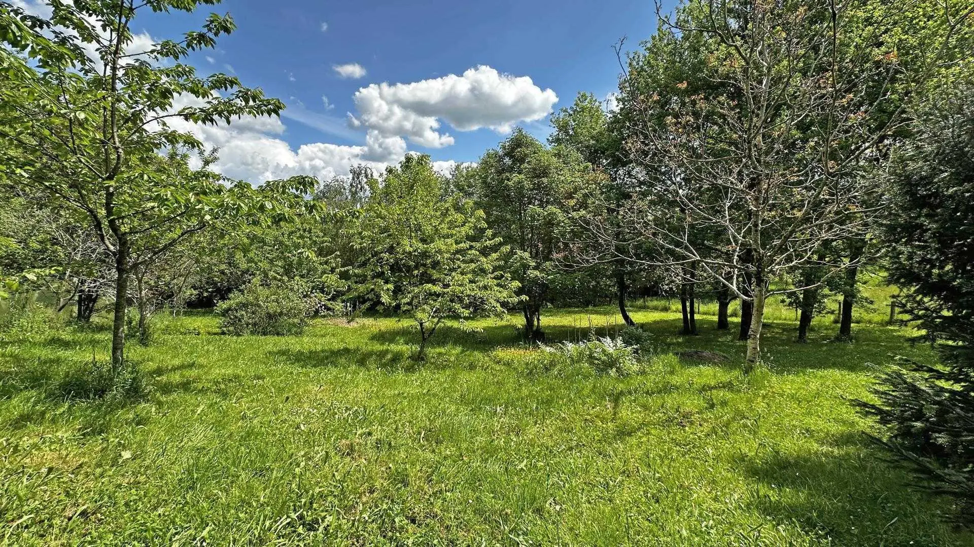 Gîte La Petite Maison à Château-Chervix en Haute-Vienne (Nouvelle Aquitaine)_5
