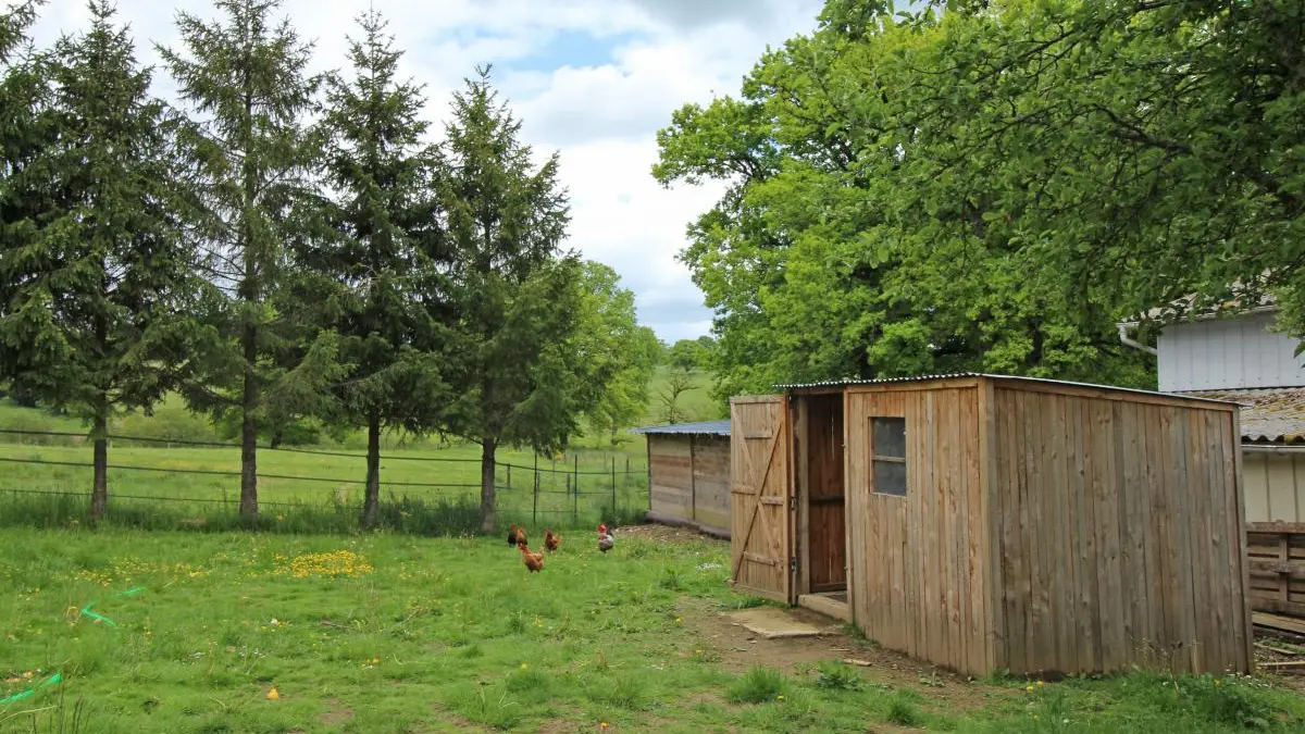 Gîte Les Petites Rivailles à Saint Genest sur roselle en Haute-Vienne (Limousin)_22