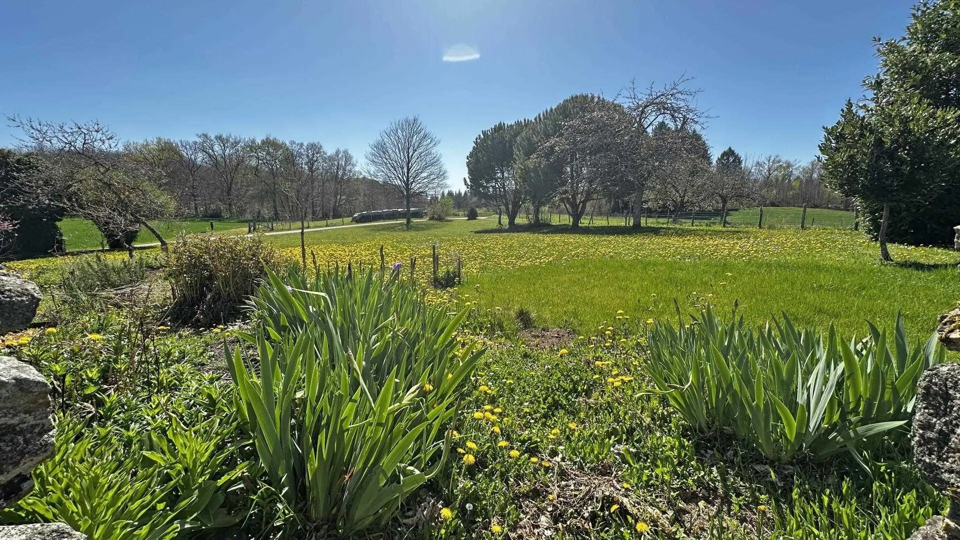Gîte du Tigre à Saint Priest Ligoure en Haute-Vienne (Nouvelle Aquitaine)_4