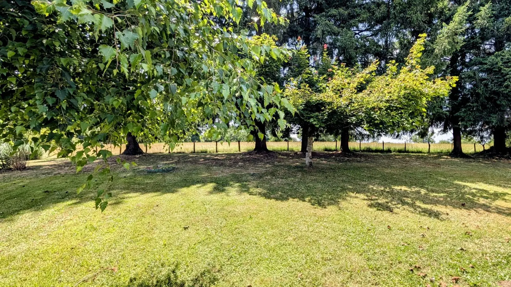 Gite du Bonheur à Saint Priest Ligoure en Haute-Vienne - Nouvelle Aquitaine_16