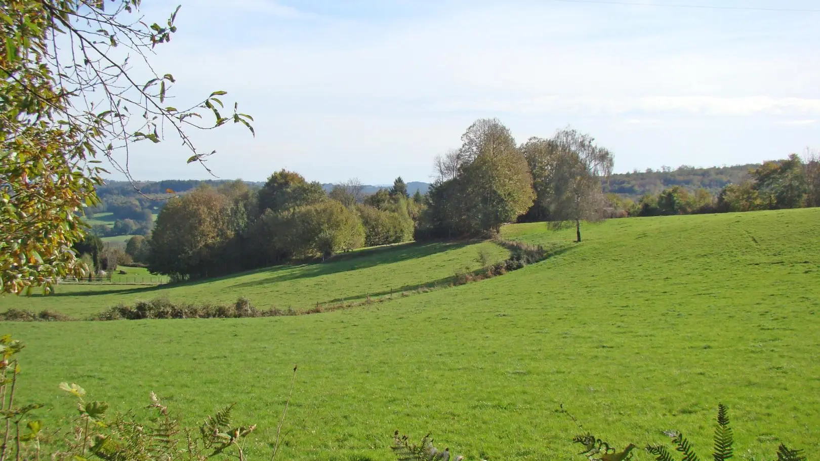Gite Peychaud à Saint Vitte Sur Briance en Haute-Vienne (Limousin en Nouvelle Aquitaine)_17