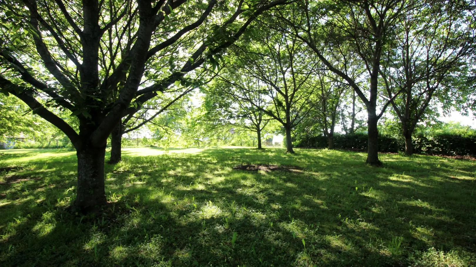 Gite Peychaud à Saint Vitte Sur Briance en Haute-Vienne (Limousin en Nouvelle Aquitaine)_16