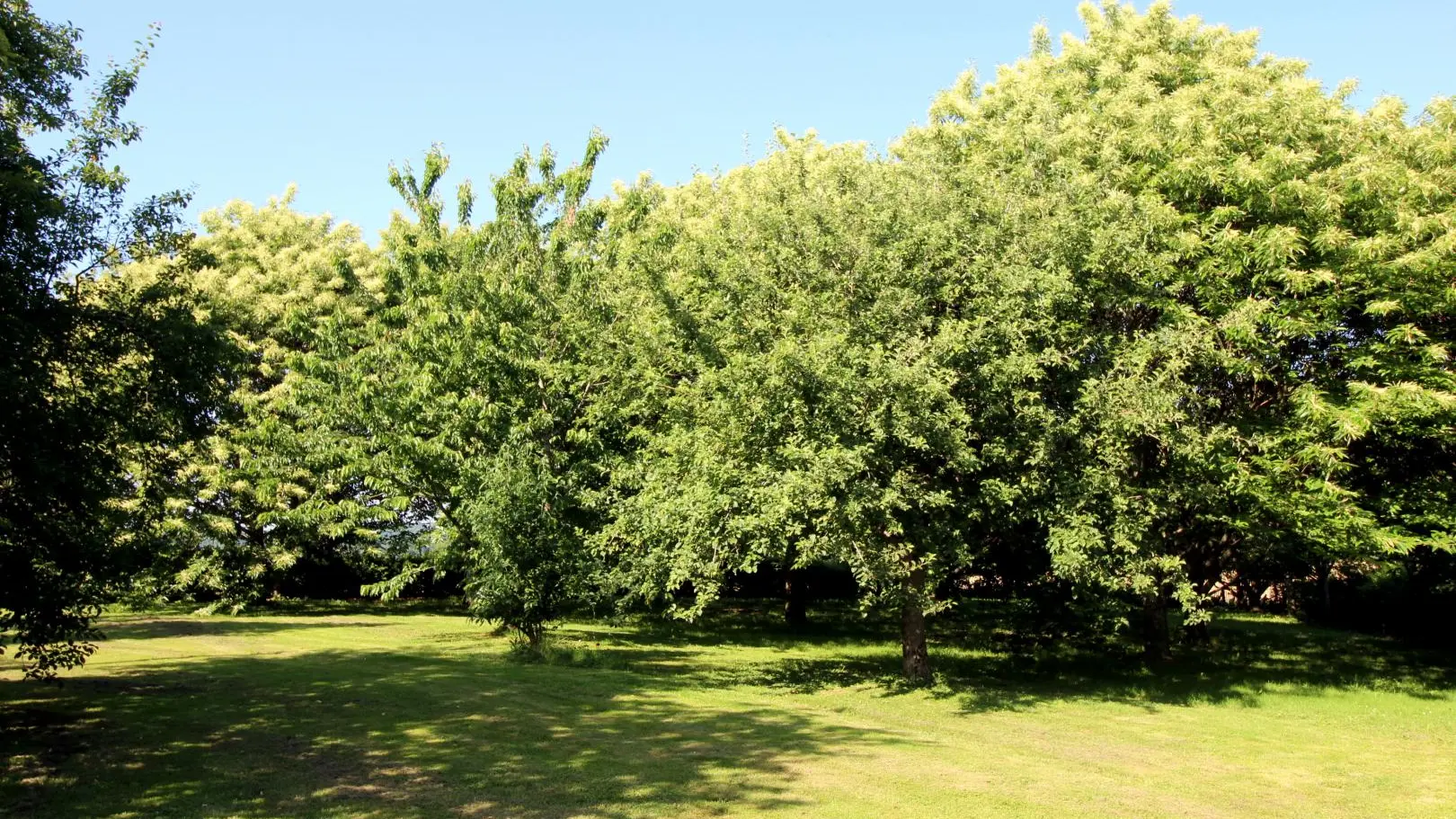 Gite Peychaud à Saint Vitte Sur Briance en Haute-Vienne (Limousin en Nouvelle Aquitaine)_2