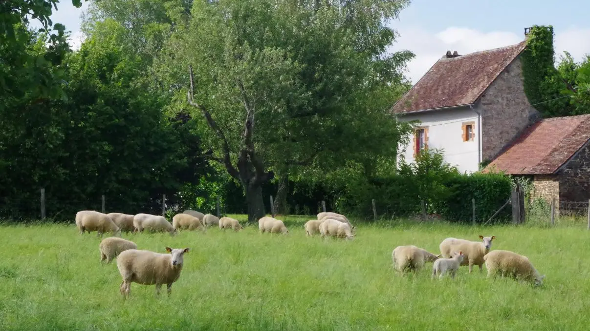 Gîte la noisetière à papesoleil sur la commune de Saint Yrieix la Perche en Haute-Vienne (limousin)_15