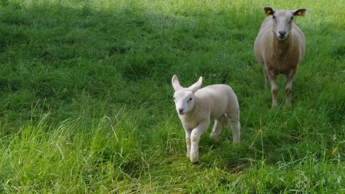 Gîte la noisetière à papesoleil sur la commune de Saint Yrieix la Perche en Haute-Vienne (limousin)_3