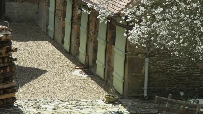 Le prunier en fleurs, à côté du gîte._24