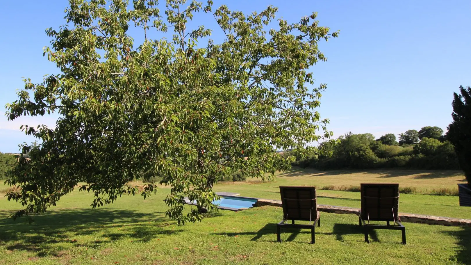 Repos sous le cerisier._18