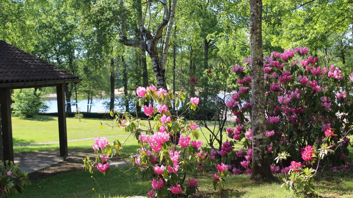 Gite Royer - Etang de La Roche à Meuzac en Haute-Vienne (Limousin)_12