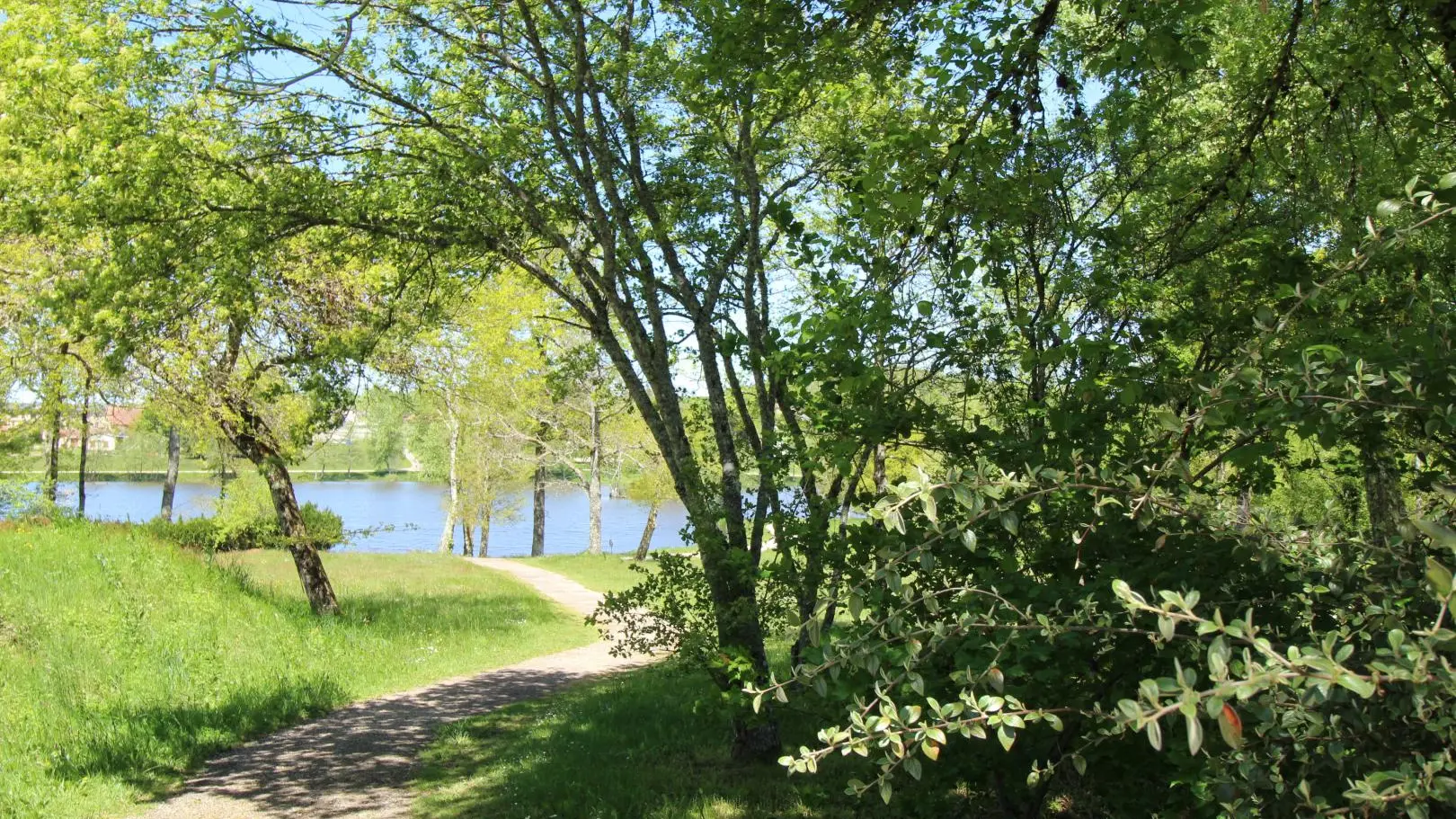 Etang de La Roche à Meuzac en Haute-Vienne (Limousin)_13