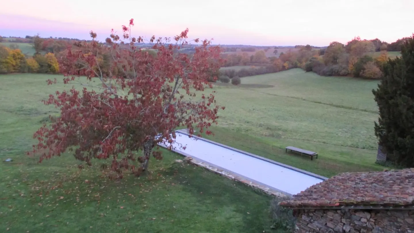 Le fond de la prairie en automne_46