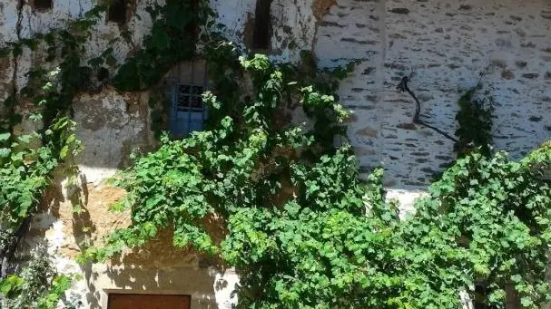 Entrée vers l'escalier à vis du XVème siècle._6