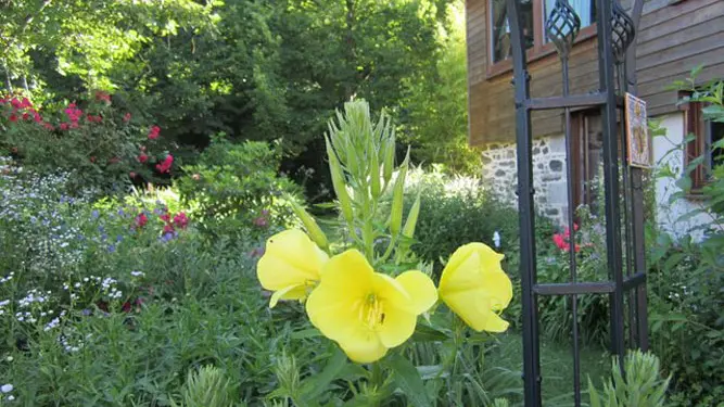 Chambre d'hôtes La Forge à Saint Hilaire Bonneval en Haute-Vienne (Limousin)_19