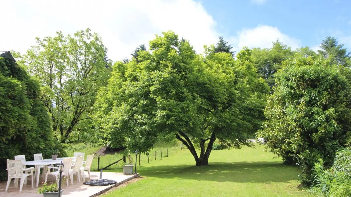 Chambre d'hôtes La Ferme De Lapeyrousse à Saint Vitte Sur Briance en Haute-Vienne _17