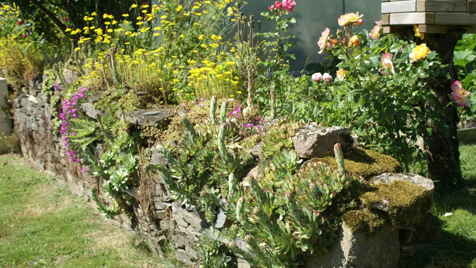 Gite Les Moissonneurs à Champagnac la Rivière en Haute Vienne (Limousin)_37