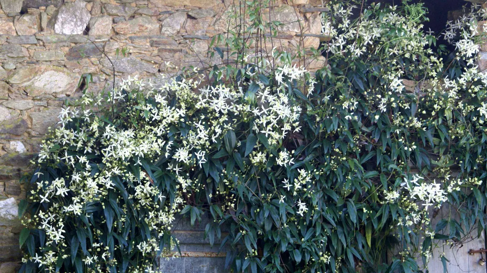 Gite les Moissonneurs à Champagnac La Rivière en Haute Vienne (Limousin)_39