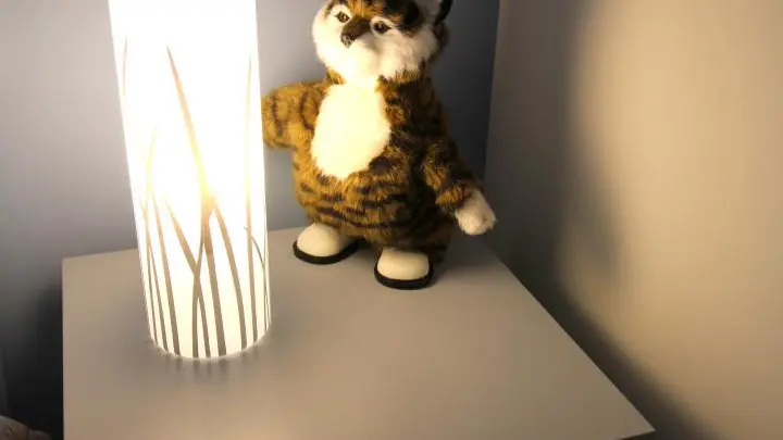 Gite Les moissonneurs à Champagnac La Rivière en Haute-Vienne (Limousin)_27