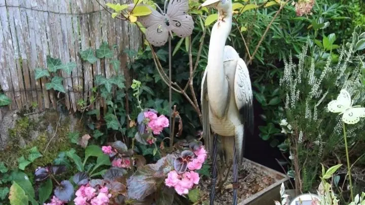Gite La Maison D'Anna à Champagnac La Rivière en Haute-Vienne (Limousin)_17