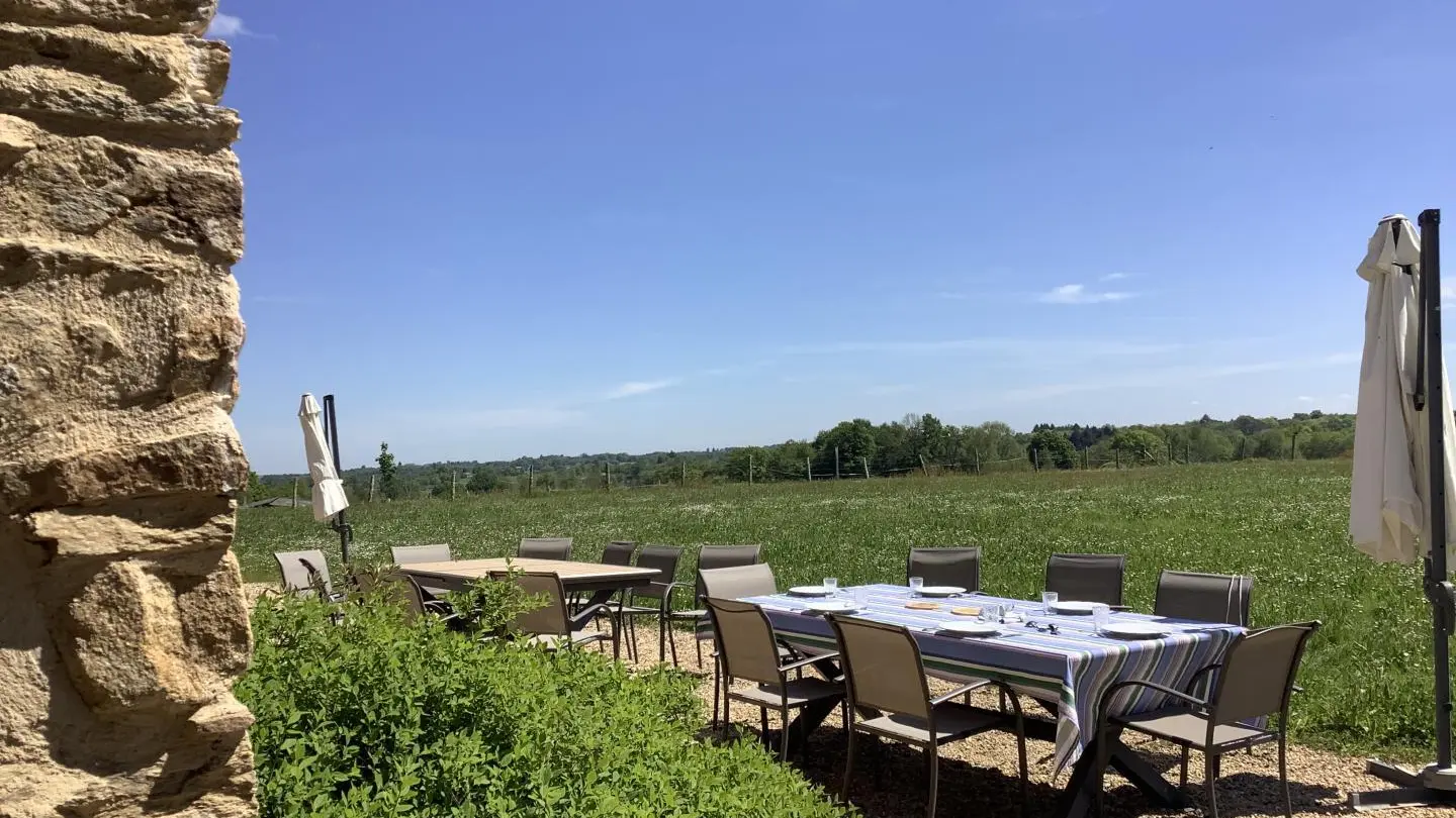 terrasse avec deux tables de 10 personnes_2
