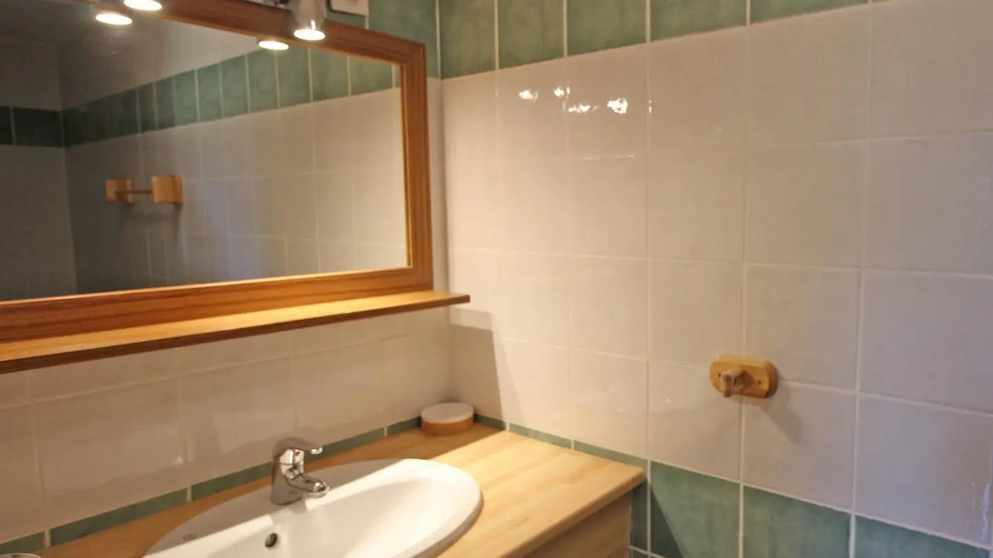 Gite La Feuillardière à Champagnac La Riviere en Haute-Vienne salle de bain chambre en bas_34