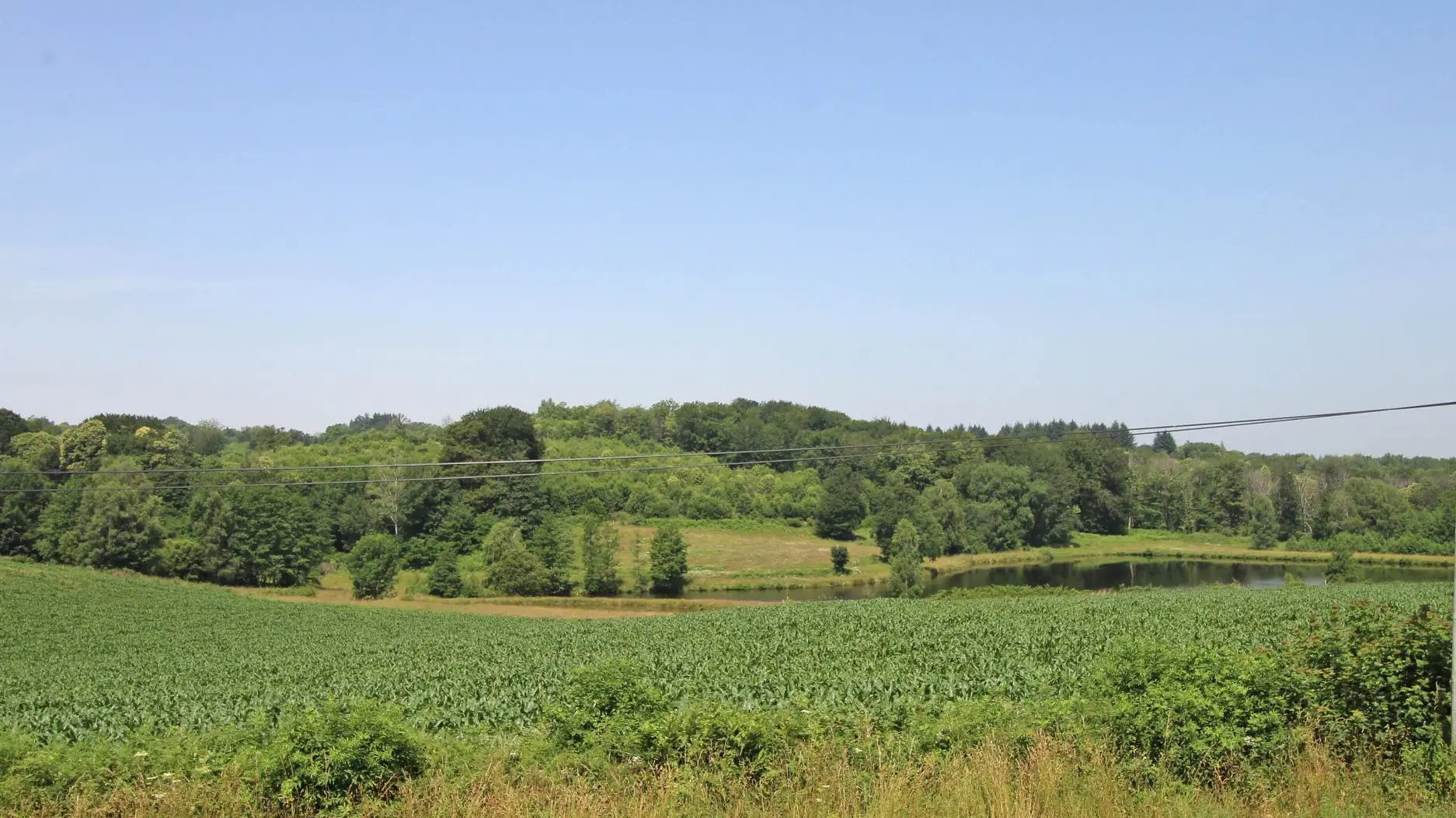 Gite La Feuillardière à Champagnac La Riviere en Haute-Vienne_37